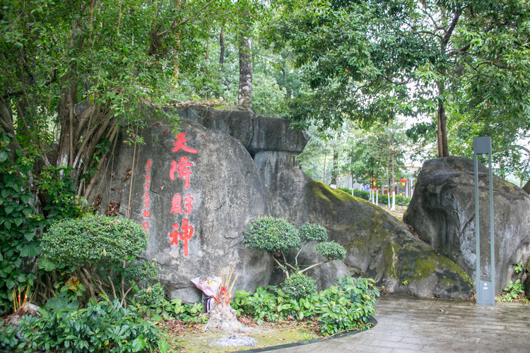 山下鄉 山下鄉