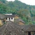 陡石村 陡石村
