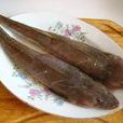 辮子魚 辮子魚