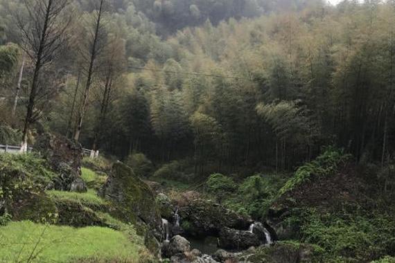 夫山鄉 夫山鄉