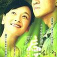 若蘭(王學兵主演電視劇)