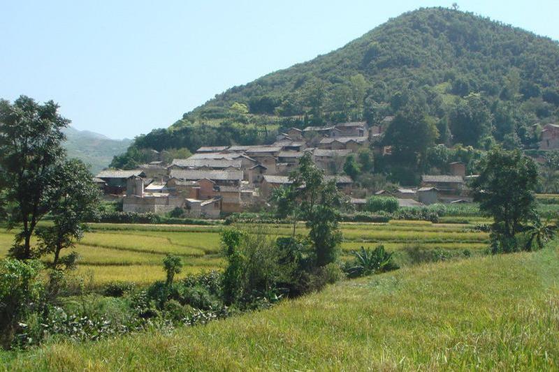 王鳳莊村 王鳳莊村