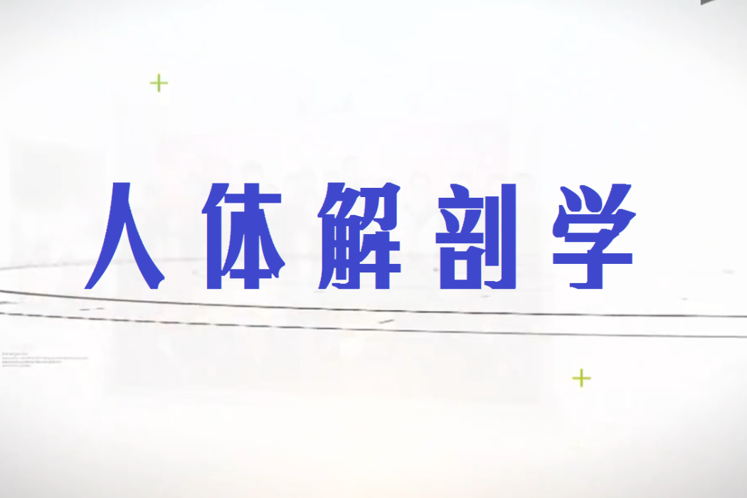 人體解剖學(中國醫科大學建設的慕課) 人體解剖學(中國醫科大學建設的慕課)