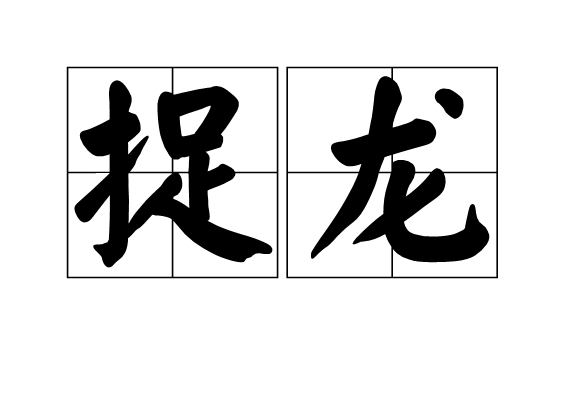 捉龍 捉龍