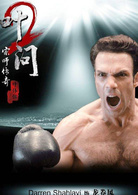 葉問2：宗師傳奇(葉偉信執導電影)