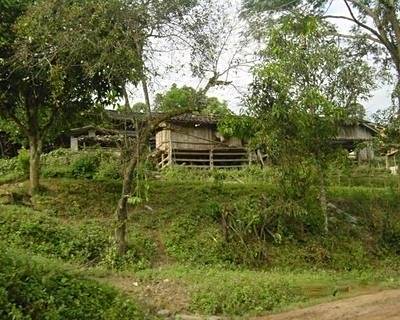 大樹田村 大樹田村