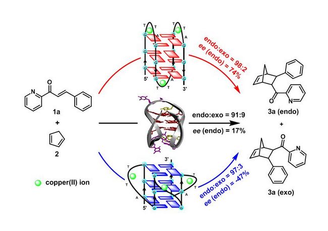 酶催化反應圖形理論