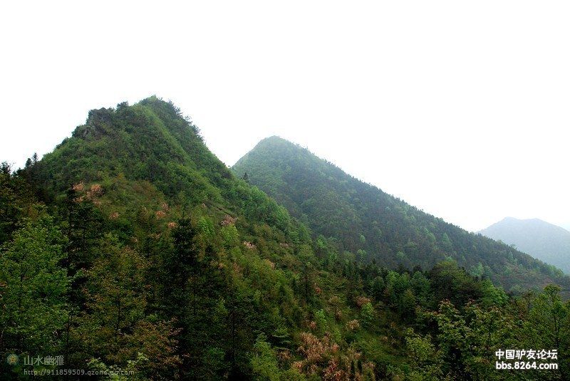 穀雨嶺 穀雨嶺