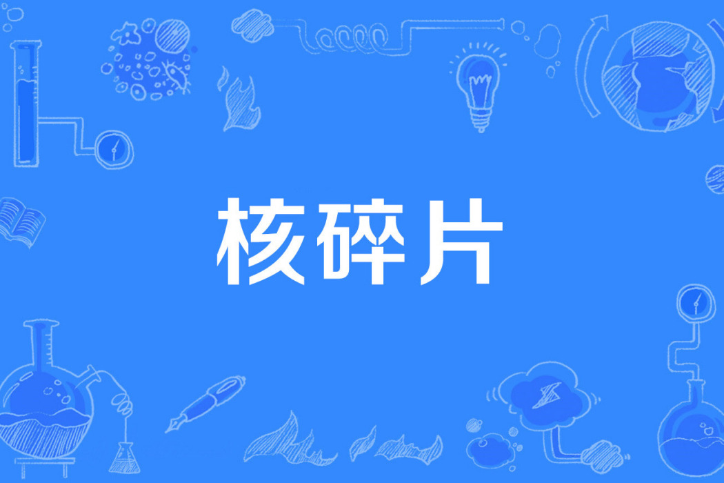 核碎片