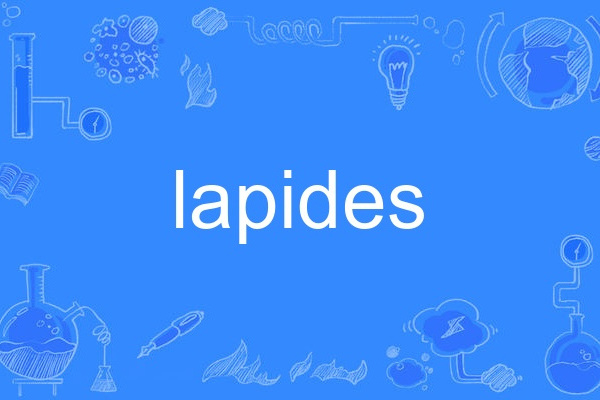 lapides lapides