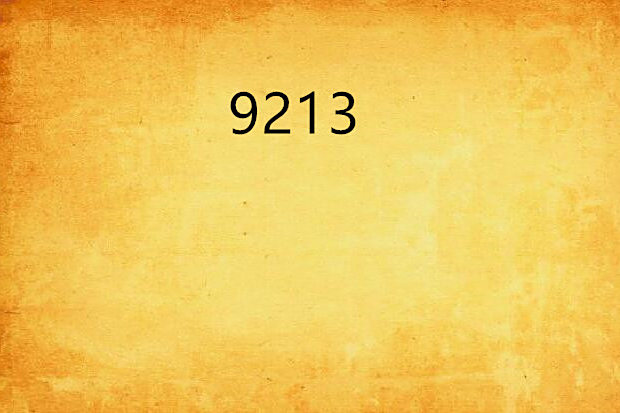 9213 9213