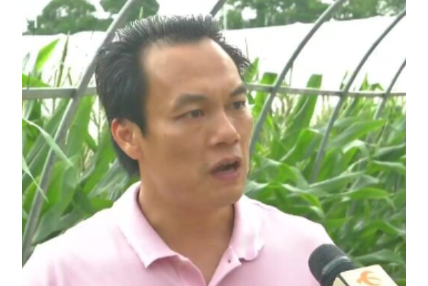 王志明(廣東萬達豐農投蔬果有限公司董事長) 王志明(廣東萬達豐農投蔬果有限公司董事長)