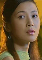 暗戰(2003年劉新執導電視劇)