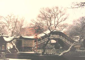 灞陵橋的冬天