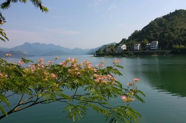 前線水庫 前線水庫