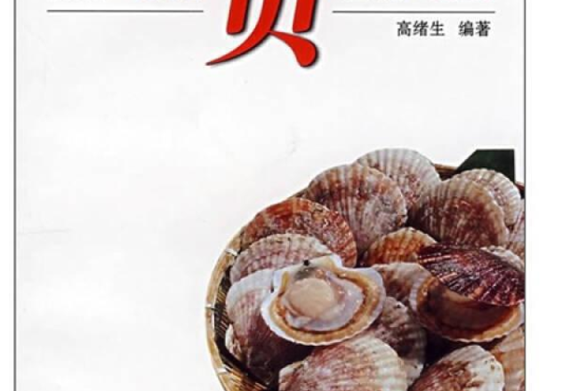 貝(2008年海洋出版社出版的圖書) 貝(2008年海洋出版社出版的圖書)