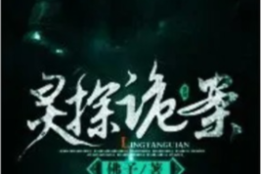 靈探詭案 靈探詭案