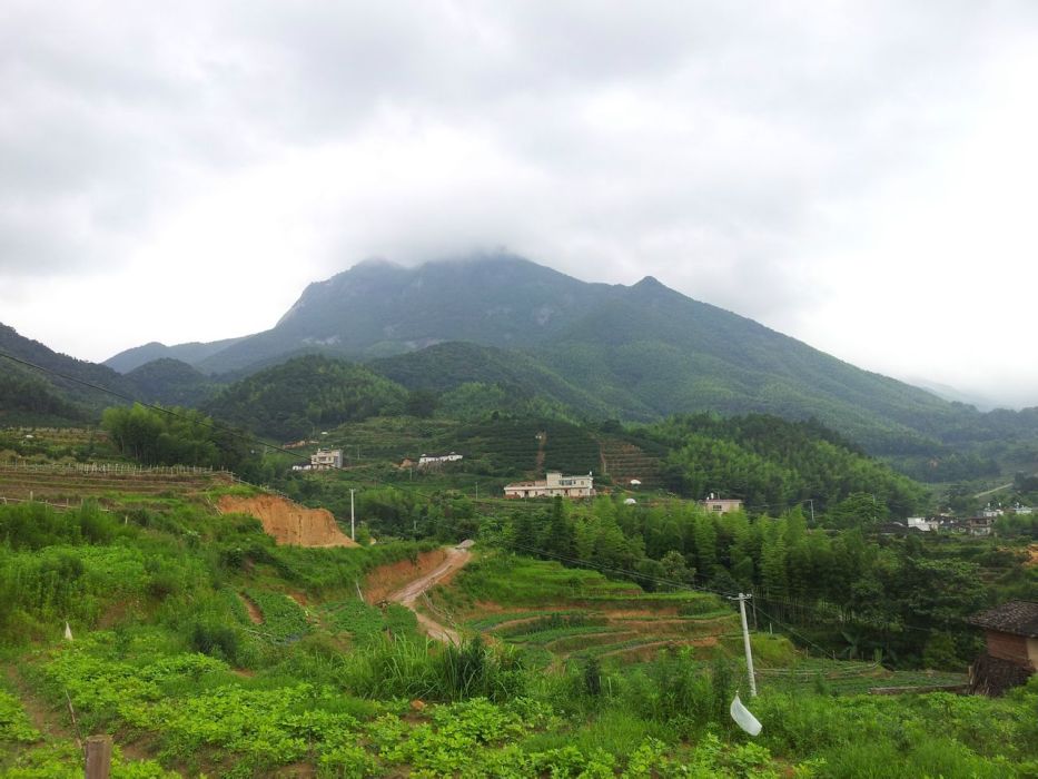 聰坑村(尋烏縣項山鄉下轄村) 聰坑村(尋烏縣項山鄉下轄村)