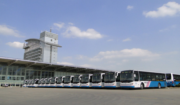 溫馨巴士擺放整齊的陽光公交