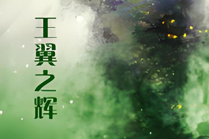 王翼之輝 王翼之輝