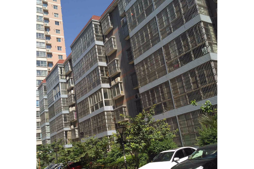 新洲南村 新洲南村