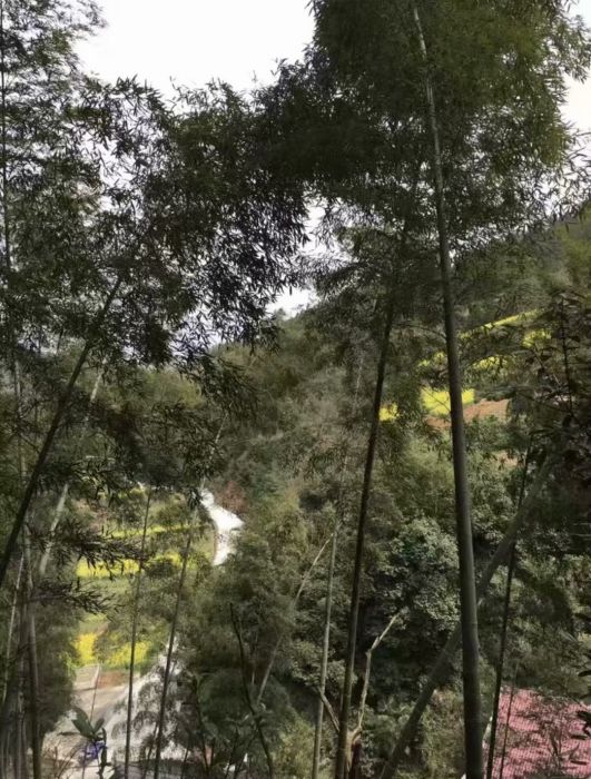 高腳塢 高腳塢
