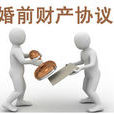 婚姻協定 婚姻協定