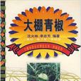 大棚青椒 大棚青椒