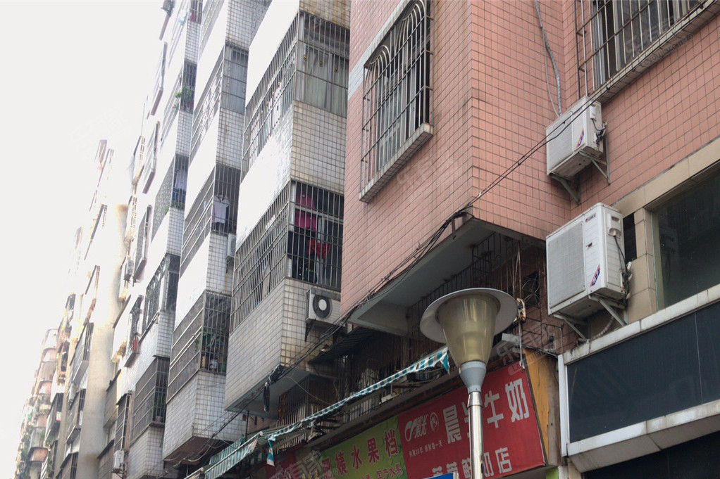 北麗園一街 北麗園一街