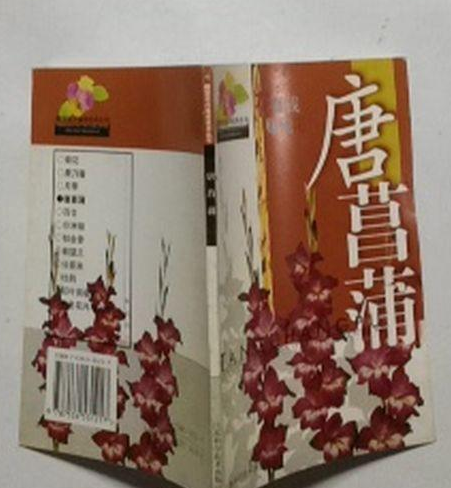 唐菖蒲(江蘇科學技術出版社出版的圖書) 唐菖蒲(江蘇科學技術出版社出版的圖書)