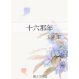 十六那年 十六那年