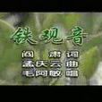 鐵觀音(毛阿敏同名專輯歌曲) 鐵觀音(毛阿敏同名專輯歌曲)