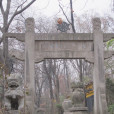 天隆寺塔林 天隆寺塔林
