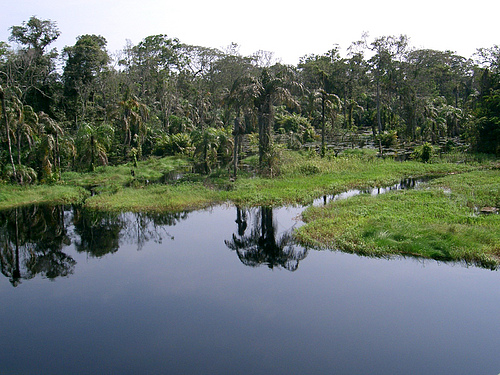 內陸湖形成的剛果盆地
