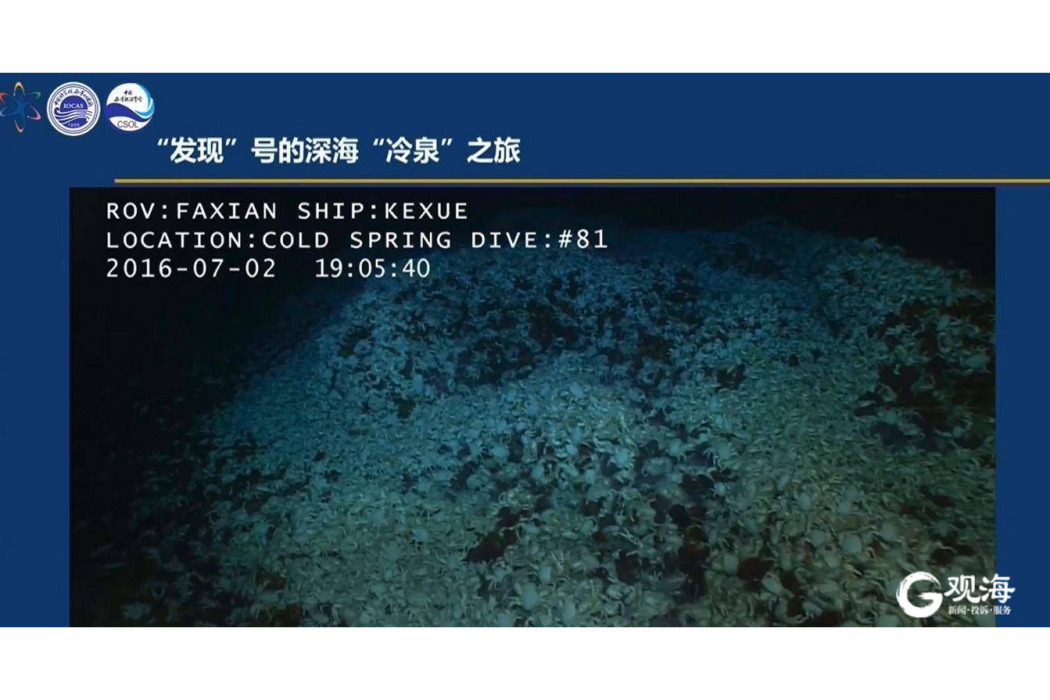 冷泉(海洋科學) 冷泉(海洋科學)