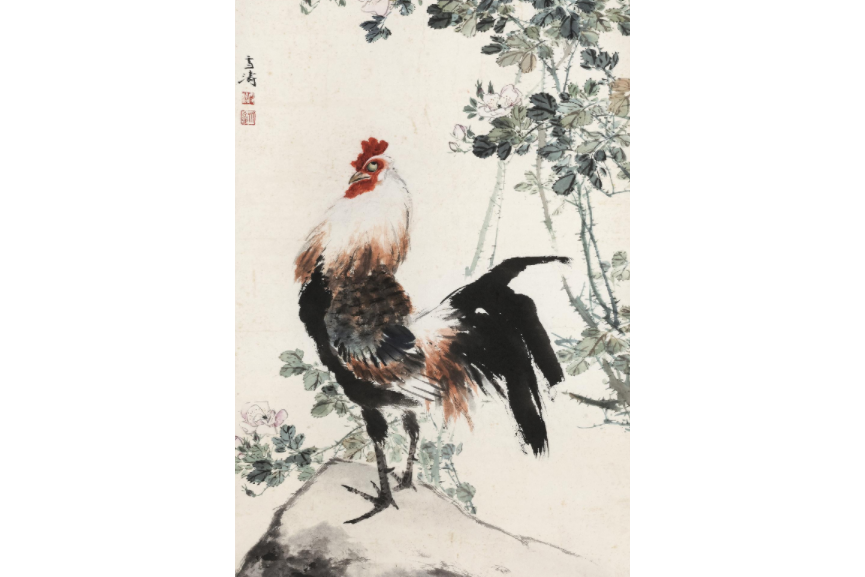 公雞月季 公雞月季