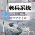 老兵系統 老兵系統