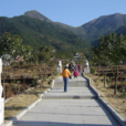 東獅山 東獅山