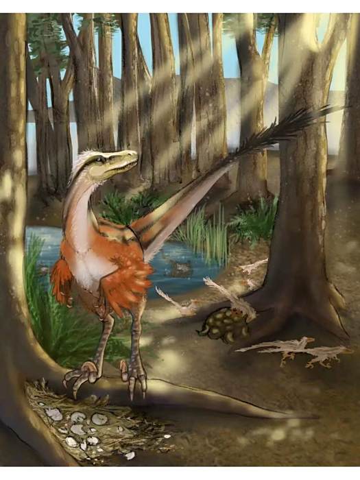 納瓦霍戰龍(Dineobellator notohesperus) 納瓦霍戰龍(Dineobellator notohesperus)