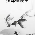 少年攝政王 少年攝政王