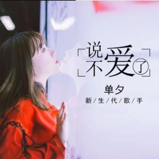 說不愛了 說不愛了