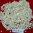 鄭雜芝H03 鄭雜芝H03