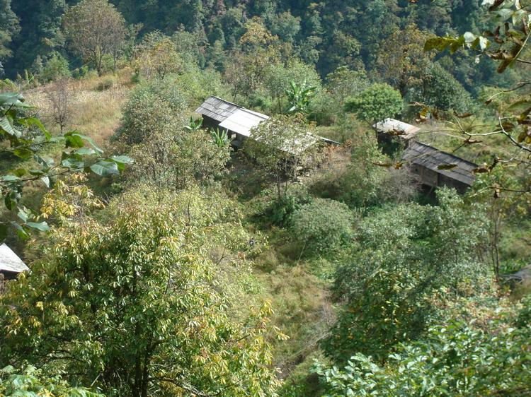 明林娃村 明林娃村