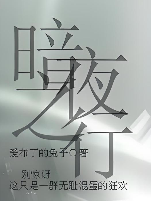 暗夜之行 暗夜之行