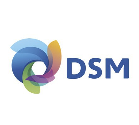 dsm(數字地表模型)
