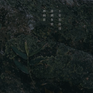 秋葉緣