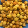 油柑(油甘) 油柑(油甘)