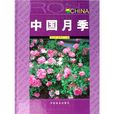 中國月季 中國月季