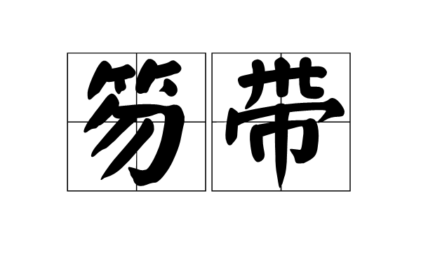 笏帶 笏帶