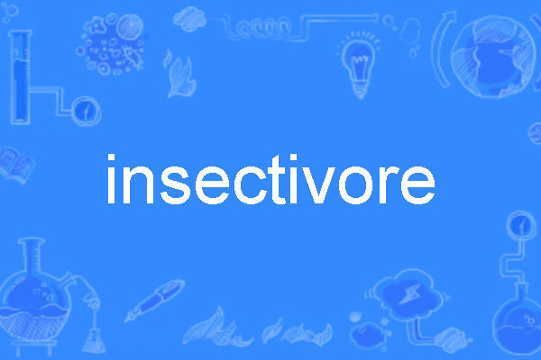 insectivore insectivore